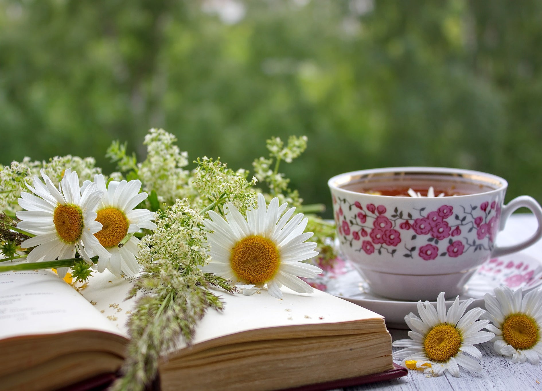 Find Your Tea Book: Our Top 10 Best Books About Tea (In No Particular Order)
