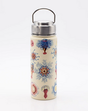 Load image into Gallery viewer, Jellyfish Stainless Steel Bottle