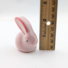 Load image into Gallery viewer, Pink Rabbit Tea Pet