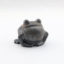 Load image into Gallery viewer, Toad Tea Pet