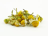 Chamomile Organic Oregon Grown